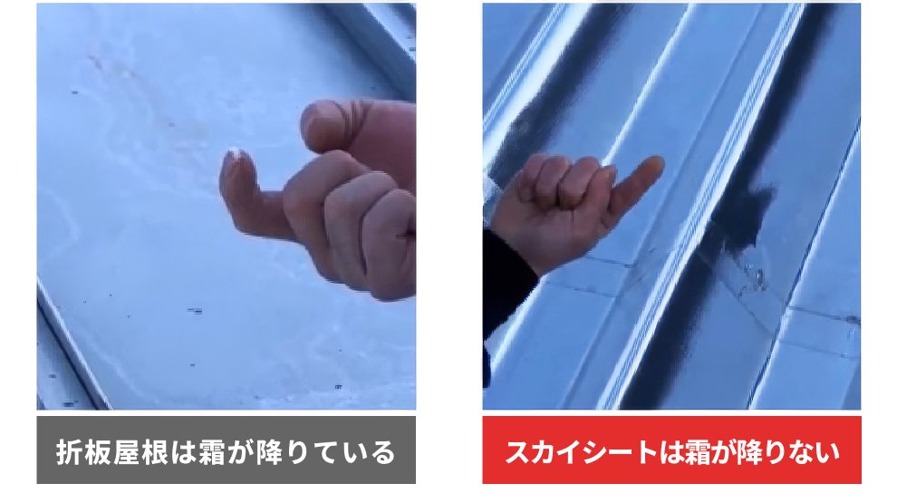 折板屋根は霜が降りているが、スカイシートには霜が降りないことが分かる画像。